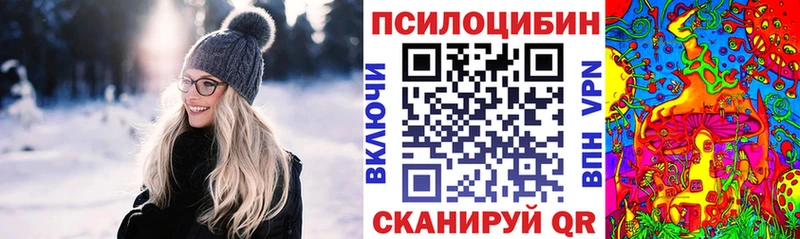 купить  цена  Ишим  Галлюциногенные грибы Magic Shrooms 